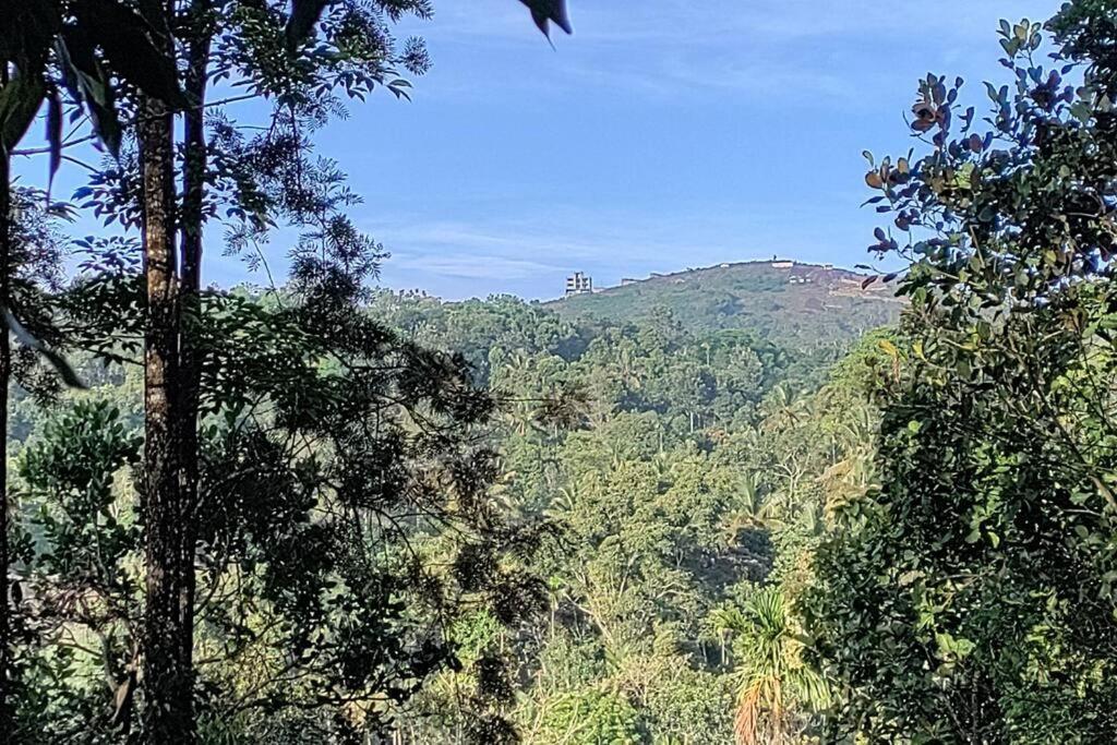 Coffee Camp Home Stay With Tree House Kattappana Exterior foto