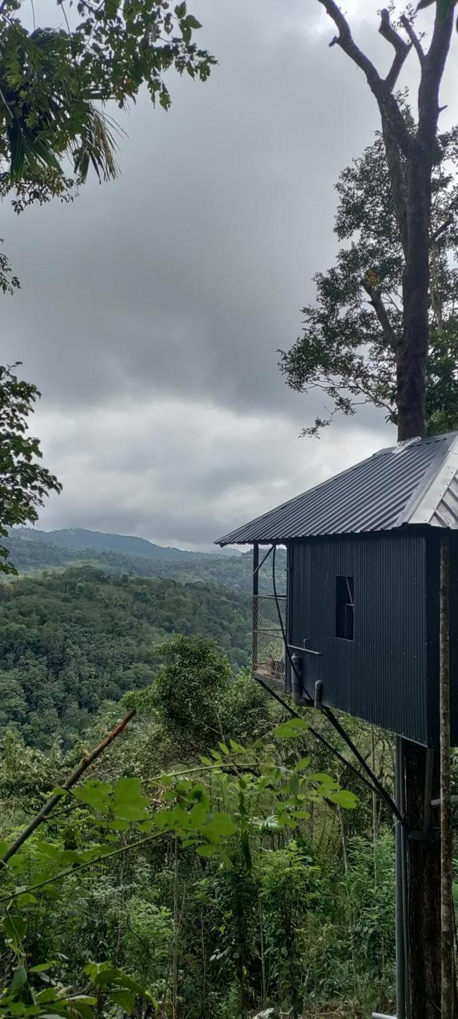 Coffee Camp Home Stay With Tree House Kattappana Exterior foto