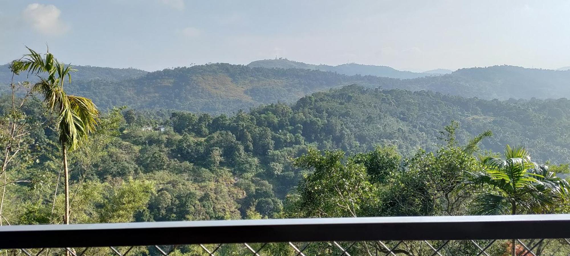 Coffee Camp Home Stay With Tree House Kattappana Exterior foto